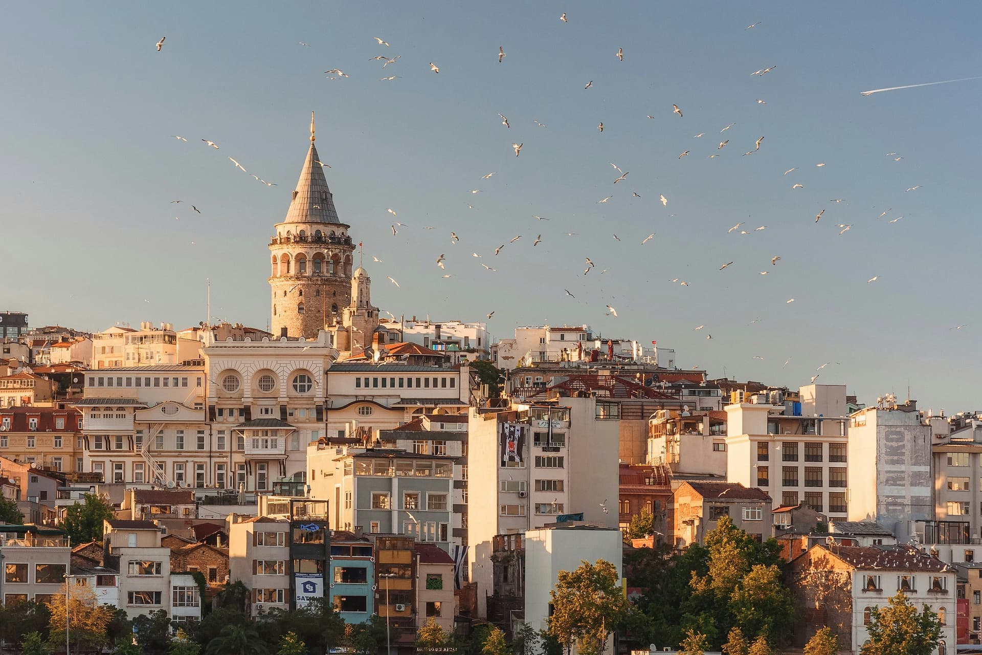 İstanbul Boğazı'nda Rumeli Hisarı ve tarihi yalılar — Bosphorus cruise route landmarks