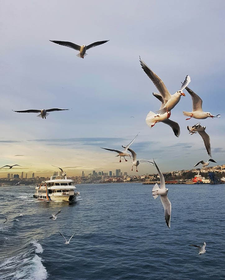 Istanbul Bosphorus Lunch Cruise & Two Continents Tour — Bosphorus tour in Istanbul