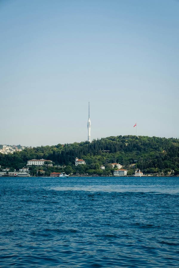 A wooded hill with a TV tower
