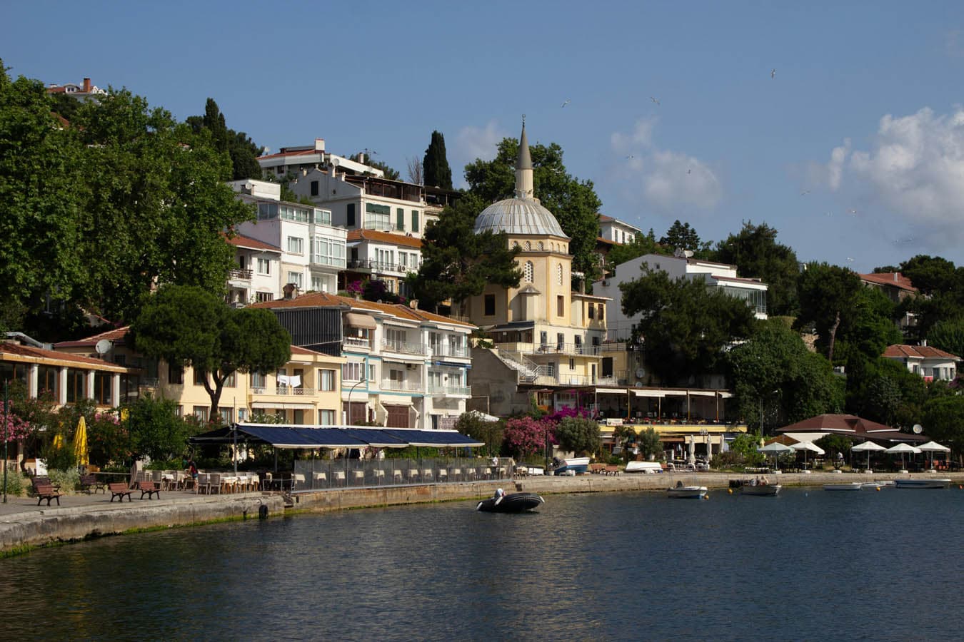 An island waterfront with houses and a mosque